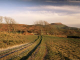 Golden Cap, Dorset, England, United Kingdom Photographic Print by Michael Busselle