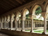 Cloister of Moissac, Moissac, Tarn Et Garonne, France Photographic Print by Michael Busselle