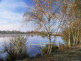 Horseshoe Lake, a Flooded Gravel Pit, Sandhurst, Berkshire, England, United Kingdom Photographie par Pearl Bucknall