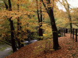 Breezy Autumn Day by the River Brathay Footbridge, Skelwith Bridge, Cumbria, England Photographie par Pearl Bucknall