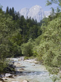 Bistrica River and Forest with Stenar Mountain Beyond in Summer, Triglav National Park, Mojstrana Photographie par Pearl Bucknall