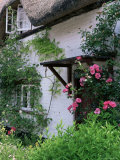 Cottage and Flowers, Wherwell, Hampshire, England, United Kingdom Photographic Print by Jean Brooks Cottage and Flowers, Wherwell, Hampshire, England, United Kingdom Photographic Print by Jean Brooks