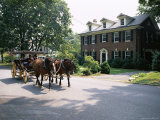 Horse and Carriage in Lee Avenue, Lexington, Virginia, United States of America, North America Photographie par Pearl Bucknall