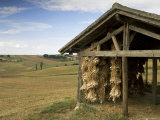 Garlic Drying, Near Condom, Gascony, Midi Pyrenees, France Photographie par Michael Busselle