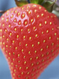 Close-Up of Strawberry in Natural Light Photographic Print by Pearl Bucknall