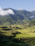 Punakha, Bhutan Photographic Print by Angelo Cavalli
