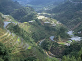 Banaue Terraced Rice Fields, UNESCO World Heritage Site, Island of Luzon, Philippines Photographic Print by Bruno Barbier