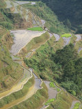 Banaue Terraced Rice Fields, UNESCO World Heritage Site, Island of Luzon, Philippines Photographic Print by Bruno Barbier Banaue Terraced Rice Fields, UNESCO World Heritage Site, Island of Luzon, Philippines Photographic Print by Bruno Barbier