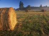 Rural Landscape, San Juan Island, San Juan Islands, Washington State, USA Photographic Print by Colin Brynn Rural Landscape, San Juan Island, San Juan Islands, Washington State, USA Photographic Print by Colin Brynn