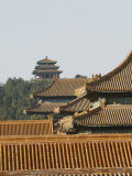 The Forbidden City, Beijing, China Photographic Print by Angelo Cavalli