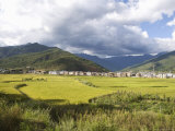 Rice Fields, Paro, Bhutan Photographic Print by Angelo Cavalli