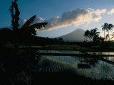 Reflections in Water of Rice Paddies, Amed Village, Island of Bali, Indonesia, Southeast Asia Photographic Print by Bruno Barbier