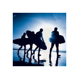 Endless Summer I Prints by Justin Charles