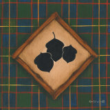 Bellotas Láminas por Kim Lewis