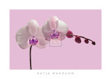 Orchid Radiance II Prints by Katja Marzahn