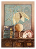 Clematite Blanche Prints by Laurence David