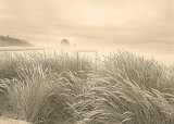 Dune Breeze Posters par Adam Brock