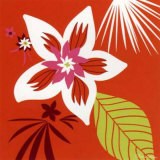 Orange Fleur Blanche Prints by Olivia Cosneau