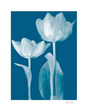 Classic Tulips III Prints by Katja Marzahn