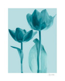 Classic Tulips IV Posters by Katja Marzahn