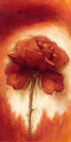Roses II Prints by Betty Jansma