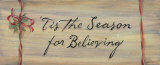 Tis The Season For Believing Prints by Karen Tribett