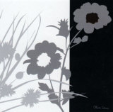 Noir and Blanc Láminas por Olivia Cosneau