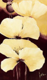 Yellow Poppies III Prints by Jettie Roseboom