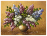 Syringa Prints by Helmut Glassl