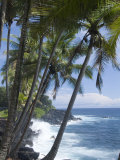 Puna (Black Sand) Beach, Island of Hawaii (Big Island), Hawaii, USA Photographie par Ethel Davies