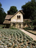 Hameau De Trianon, Palace Grounds, Versailles, Ile De France, France Photographic Print by Philip Craven