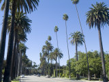 Beverly Drive, Beverly Hills, California, USA Photographie par Ethel Davies