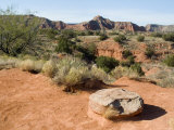 Palo Duro State Park, Near Amarillo, Texas, USA Photographic Print by Ethel Davies