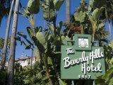 Beverly Hills Hotel, Beverly Hills, California, USA Photographic Print by Ethel Davies