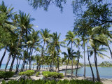 Waikaloa Beach, Island of Hawaii (Big Island), Hawaii, USA Photographic Print by Ethel Davies