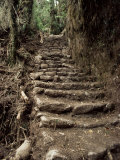 Steps on the Inca Trail, Peru, South America Photographic Print by Rob Cousins