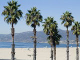 Santa Monica Beach, Santa Monica, California, USA Photographic Print by Ethel Davies
