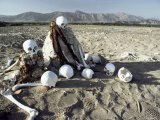 Nazca Desert Cemetery, Peru, South America Photographic Print by Rob Cousins