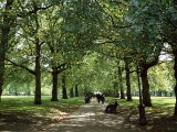Green Park, London, England, United Kingdom Photographic Print by Ethel Davies