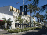 Rodeo Drive, Beverly Hills, California, USA Photographic Print by Ethel Davies