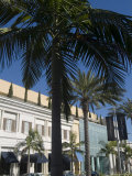 Rodeo Drive, Beverly Hills, California, USA Photographic Print by Ethel Davies