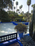 Jardin Majorelle, Marrakech, Morocco, North Africa, Africa Photographic Print by Ethel Davies