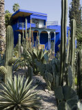 Jardin Majorelle, Marrakech, Morocco, North Africa, Africa Photographic Print by Ethel Davies