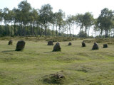 Nine Ladies Stone Circle, Derbyshire, England Photographie par Ethel Davies