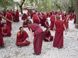 Monks Learning Session, with Masters and Students, Sera Monastery, Tibet, China Photographie par Ethel Davies