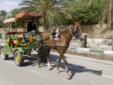 Horse and Carriage, Tozeur, Tunisia, North Africa, Africa Lámina fotográfica por Ethel Davies Horse and Carriage, Tozeur, Tunisia, North Africa, Africa Lámina fotográfica por Ethel Davies