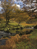 Autumn Colours, Watendlath Beck, Borrowdale, Lake District National Park, Cumbria, England Photographic Print by Neale Clarke