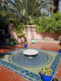 Jardin Majorelle, Marrakech, Morocco, North Africa, Africa Photographie par Ethel Davies