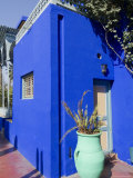 Jardin Majorelle, Marrakech, Morocco, North Africa, Africa Photographic Print by Ethel Davies