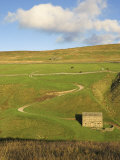 Stone Barn and Winding Track Near Keld, Yorkshire Dales National Park, Yorkshire, England Photographic Print by Neale Clarke